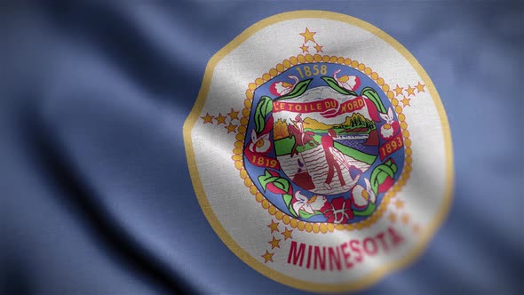 Minnesota State Flag Angle