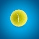 high poly tennis ball 3D model - 3DOcean Item for Sale