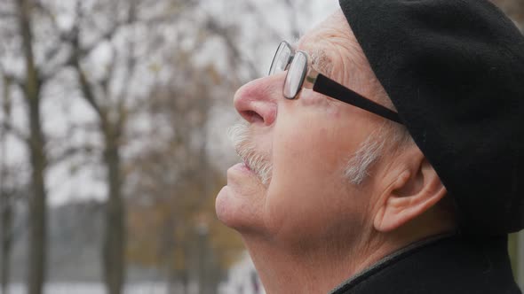 Old senior looking up at the sky in nature. Elderly grandpa praying looking up at sky with hope, clo