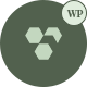 Preview icon