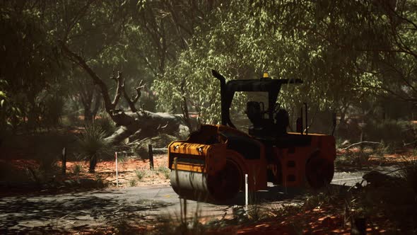 Road Roller Tractor in the Forest