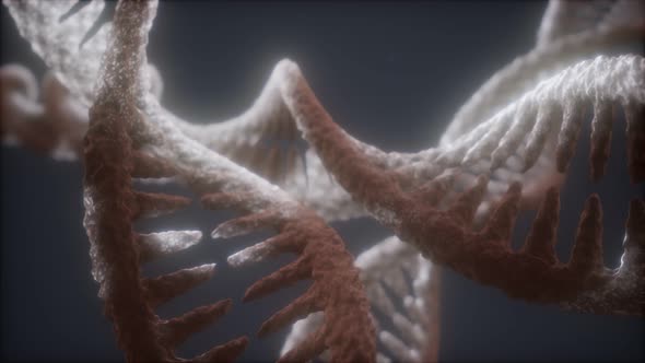 Loop Double Helical Structure of Dna Strand Close-up Animation alt