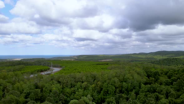 Drone flight over the north Istanbul forest. Cloudy sky, blue sea and green nature