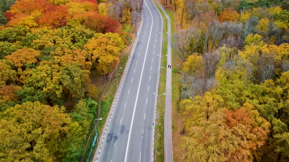 Aerial cars driving road in yellow autumn forest