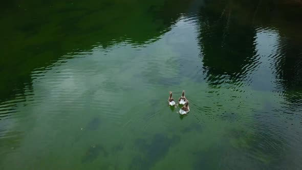 Three Ducks In A Lake Filmed From Above