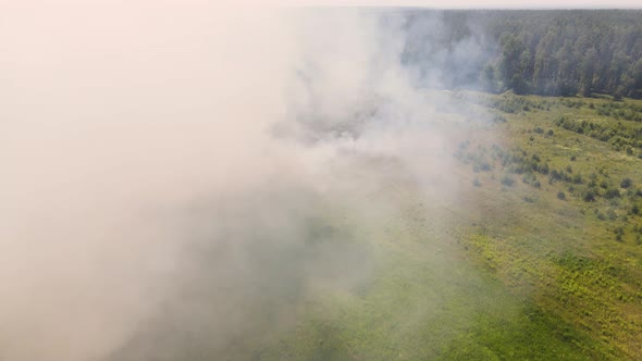 Puffs of Smoke and Fire Spread Across a Large Field