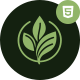 Preview icon