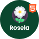 Preview icon