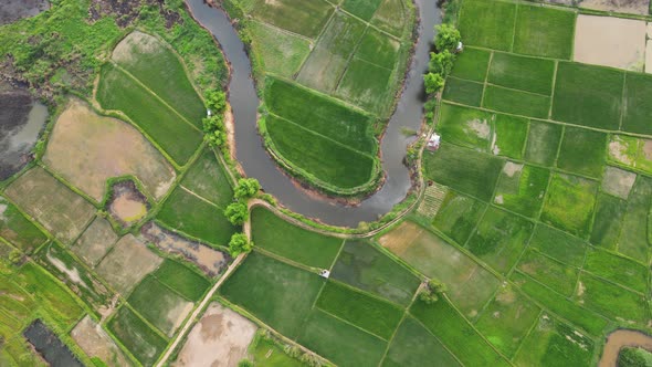 Aerial view green field Top down view background