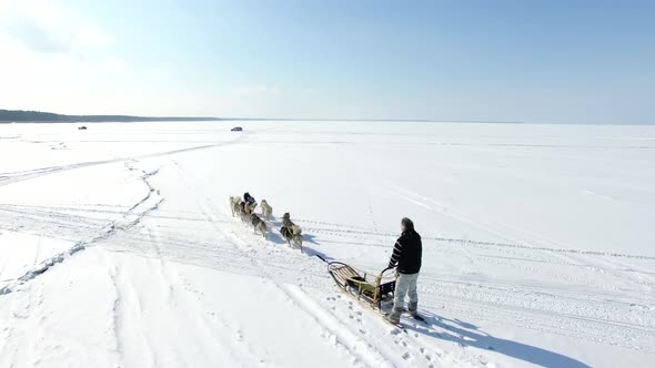 Aerial: Training sled dogs on a frozen bay in winter