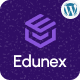 Preview icon