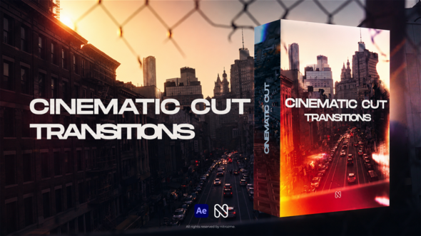 Cinematic Cut Transitions