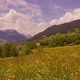 Alpine Landscape - VideoHive Item for Sale