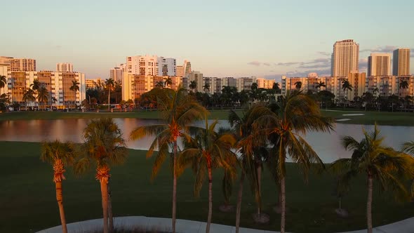 Aerial shot golf course at dusk with palm trees