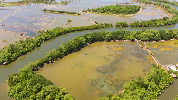 Agricultural Landscape in Asia