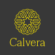 Preview icon
