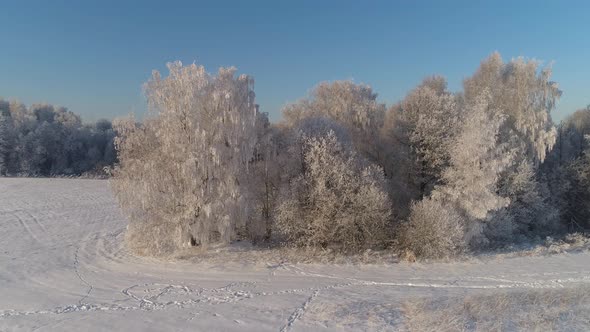 Winter Landscape in Countryside