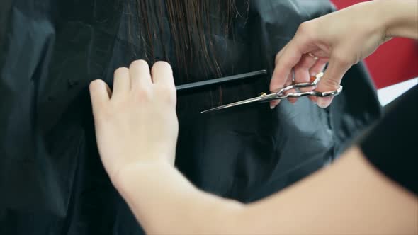 Close Up Shot of the Process of Cutting Split Ends of Hair in a Beauty Salon