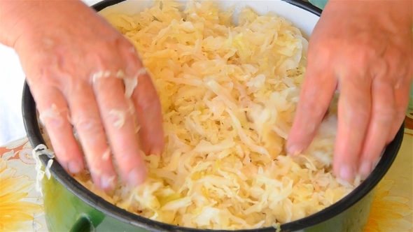 Woman's Hands Preparing Stuffed Cabbage 04