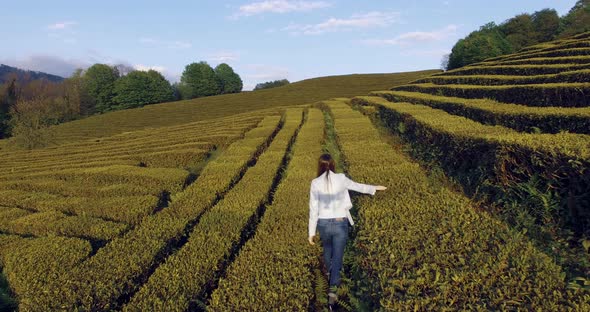 Beautiful Woman Walking on the Tea Plantations