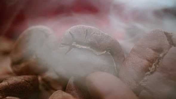 Close Up of Seeds of Coffee