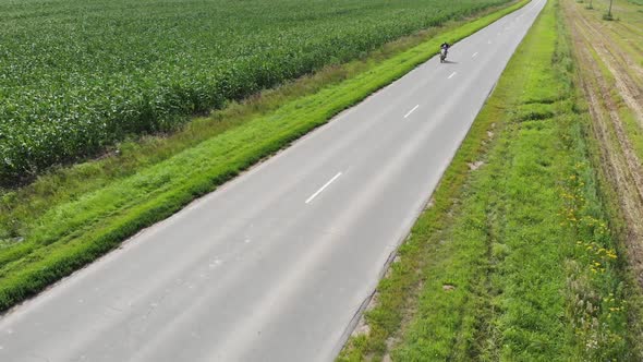 Aerial View of a Green Corn Field. Biker with a Child Riding a Motorcycle on an Asphalt Road Along