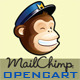 Mailchimp Custom Popup Subscription for OpenCart - CodeCanyon Item for Sale