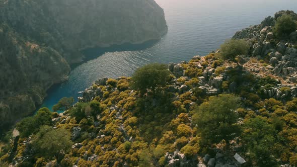 This Video Taken at the Butterfly Valley