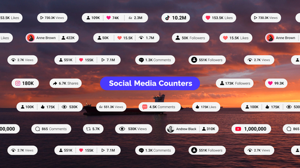 Social Media Counters