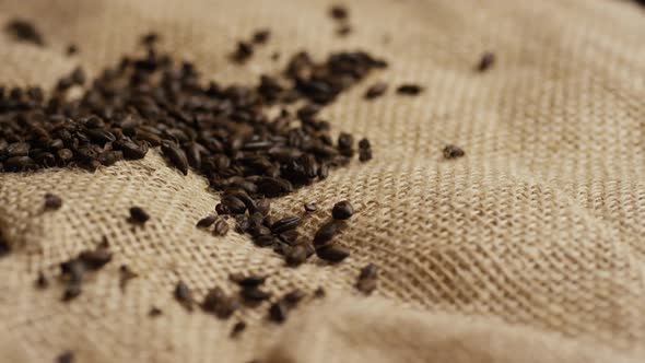 Rotating shot of barley and other beer brewing ingredients