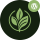 Preview icon