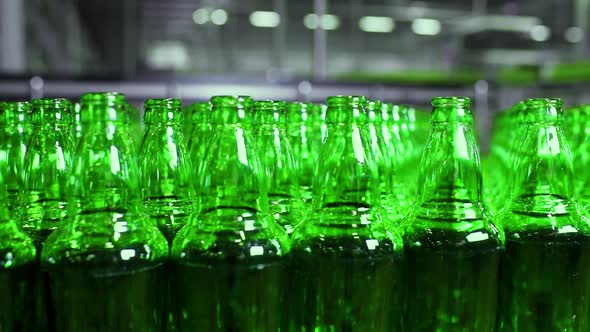 line for filling beer in a brewery. Empty green glass bottles moving on a conveyor belt in a queue a