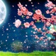 Cherry Blossom Petals Falling Down At Night (4K) - VideoHive Item for Sale