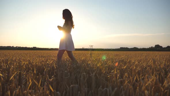 Beautiful Girl Is Walking Along Wheat Field Under Blue Sky at Sunset. Young Woman Going at the