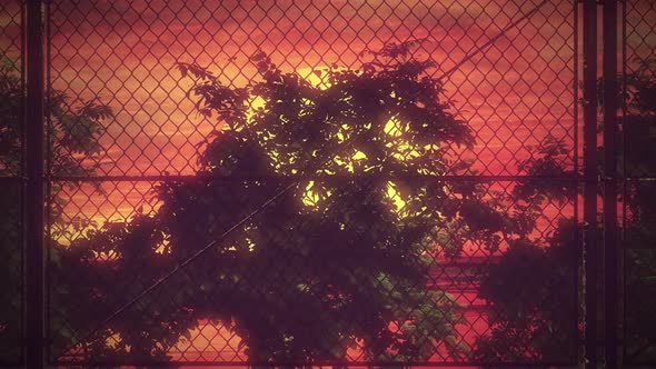 Fence Sunset 4k 