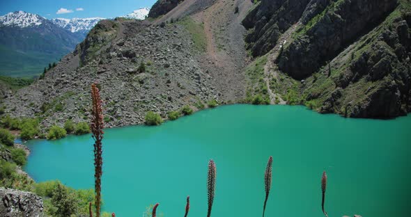 Mountain Lake of green and blue color Urungach. Flowers Eremurus. the Beauty Located in Uzbekistan,