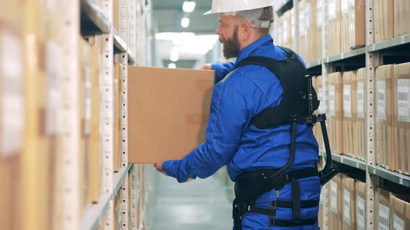 Storage Worker in Ergoskeleton is Taking a Box From the Shelf