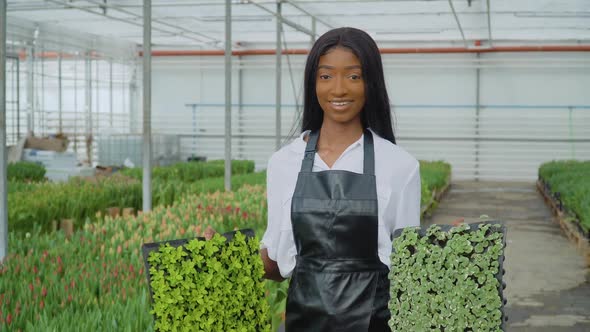 Beautiful Young African Girl in a White Shirt and a Black Leather Apron Stands with Seedlings in Her