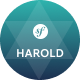 Preview icon