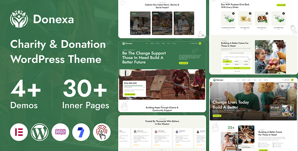 Donexa - Charity & Donation WordPress Theme
