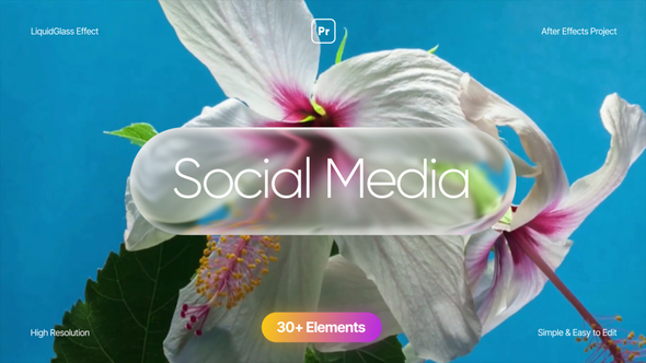 Social Media | MOGRT