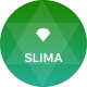 Preview icon