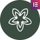 Preview icon