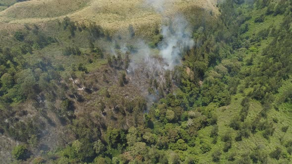 Forest Fire in the Mountains