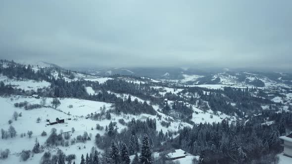 Aerial View Winter Village. Snowy Tree Branch in a View of the Winter Forest