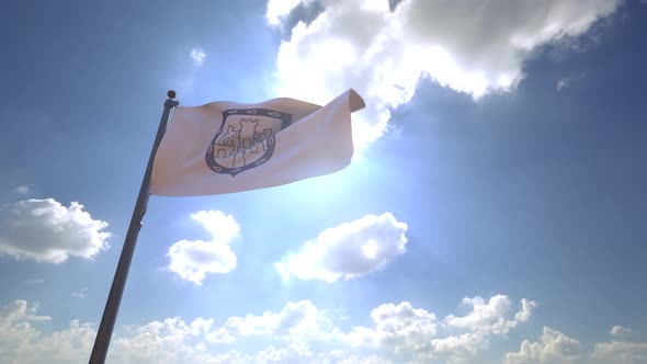 Mexico City Flag on a Flagpole V4 - 4K