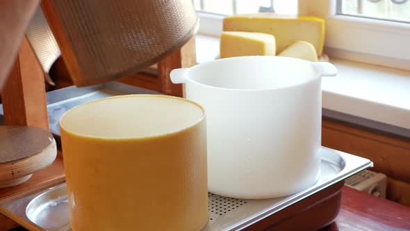 A Man Cheesemaker Prepares Cheese Puts Under Press Gives Shape