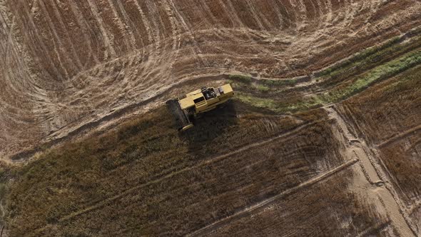 Overhead Aerial View Of Yellow Combine Harvester Working In Punjab Field In Pakistan