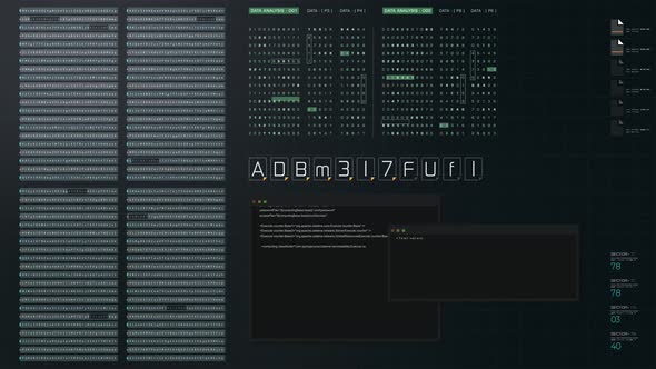 Cyber Crime Computer Hacker 04