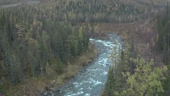 Top View of Flowing Mountain River in Middle of Forest